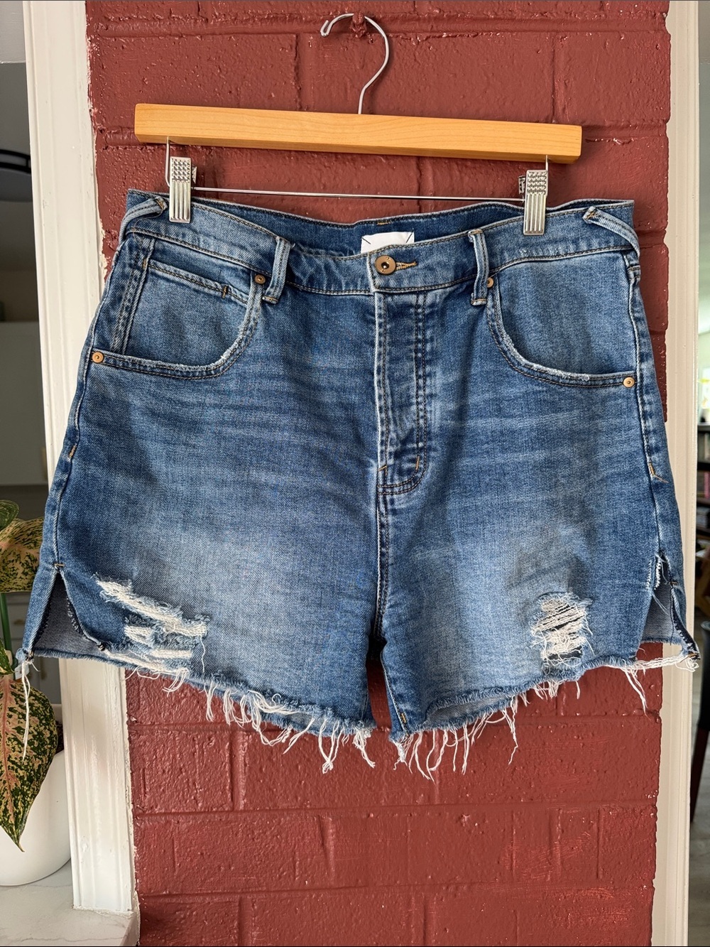 Serra Distressed Mid-Blue Denim Shorts w 3 inch Inseam Size 31